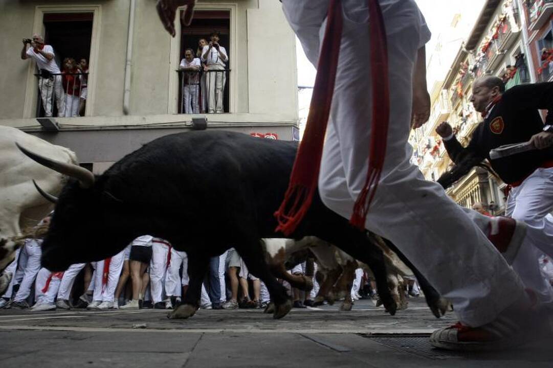 Pamplona: antrąją bulių bėgimo dieną subadytas australas 