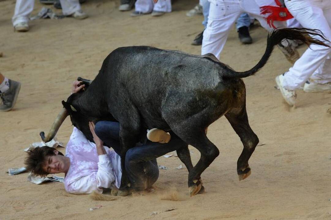 Pamplona: antrąją bulių bėgimo dieną subadytas australas 