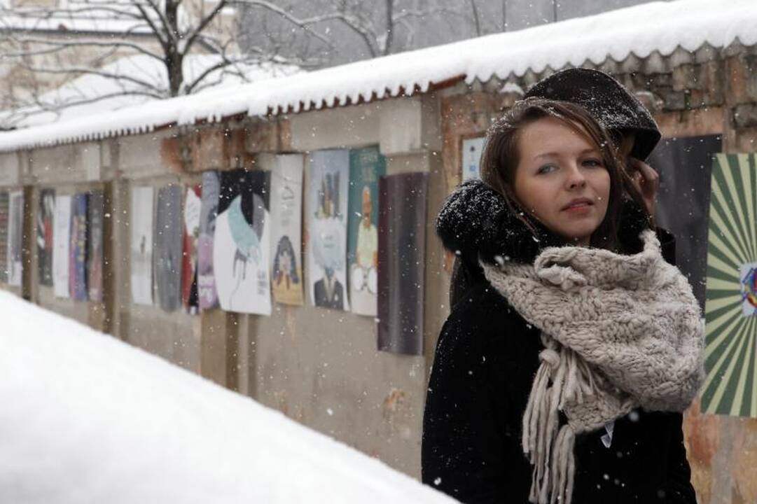 VDA studentai Sereikiškių parko tvorą papuošė 60-ia socialinių plakatų