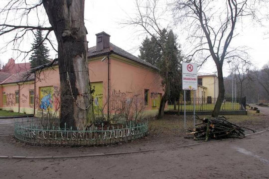 Tokijo automobilių paroda: kokios staigmenos laukia lankytojų?