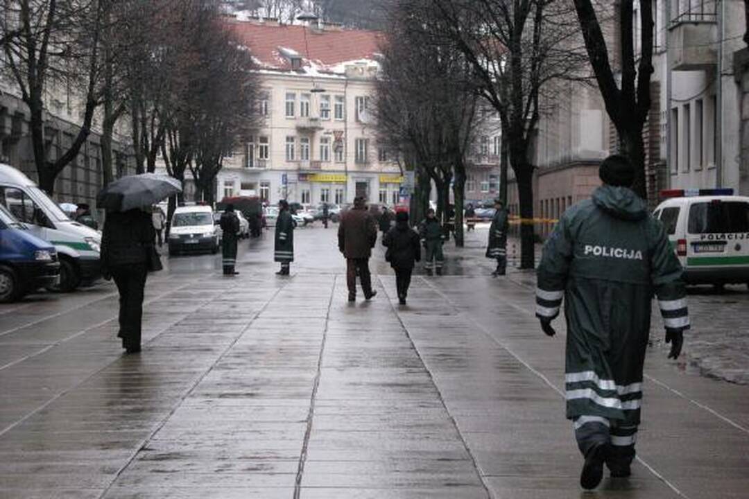 V.Šustausko mitingas praėjo be incidentų (atnaujinta 13.10 val.)