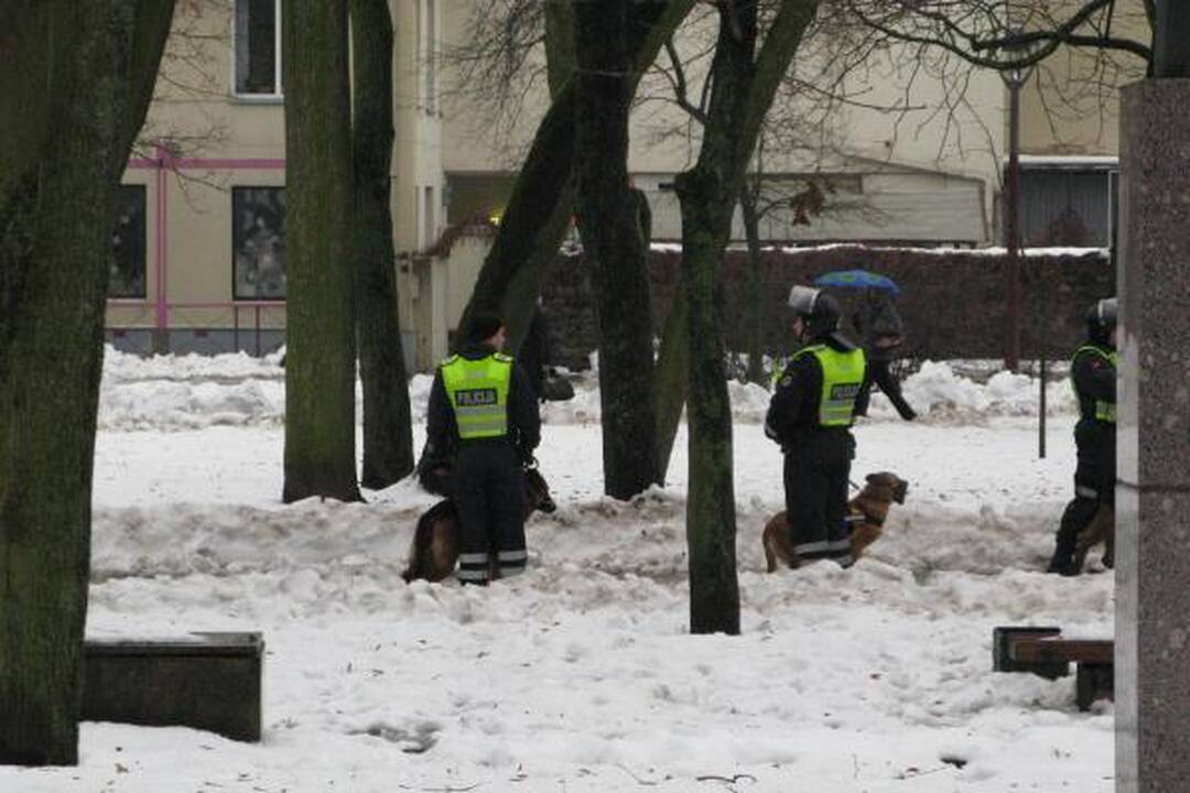 V.Šustausko mitingas praėjo be incidentų (atnaujinta 13.10 val.)