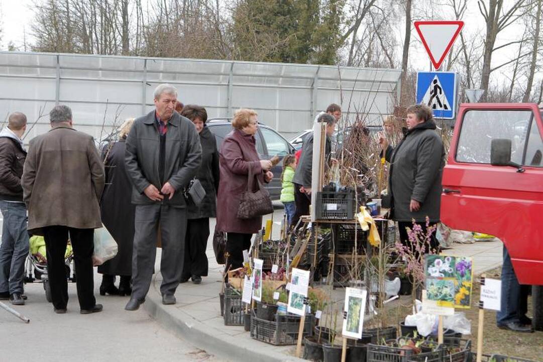 Sodininkų mugėje – nuo ekologiškų vaismedžių ir retų veislių augalų