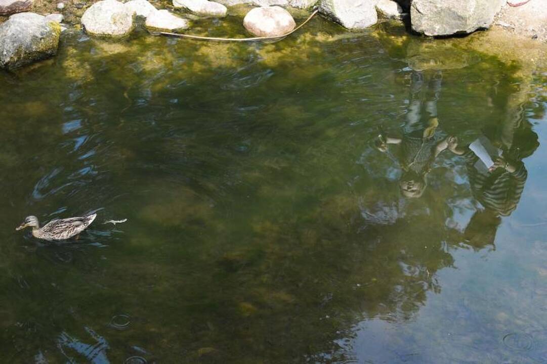 Atidarytas devynerius metus kurtas Tekančios Saulės šalies sodas 