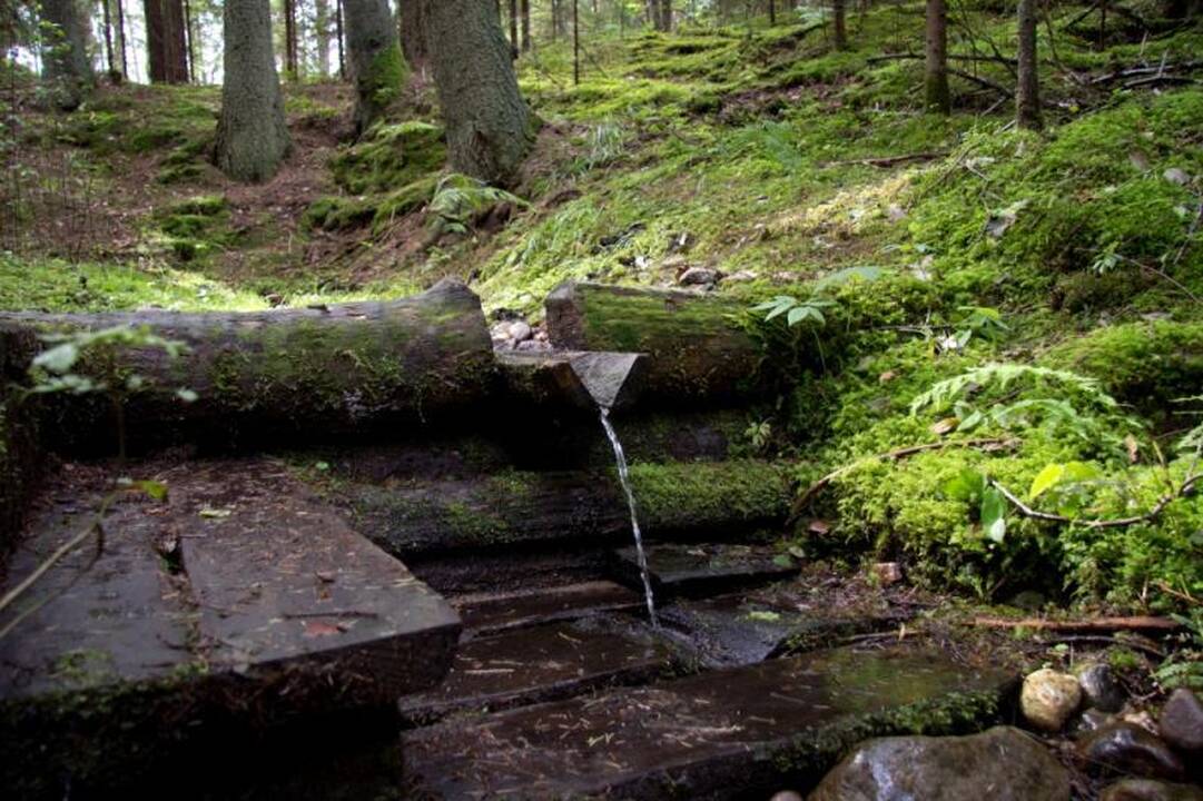 Kelionė laiku po Neries regioninį parką 