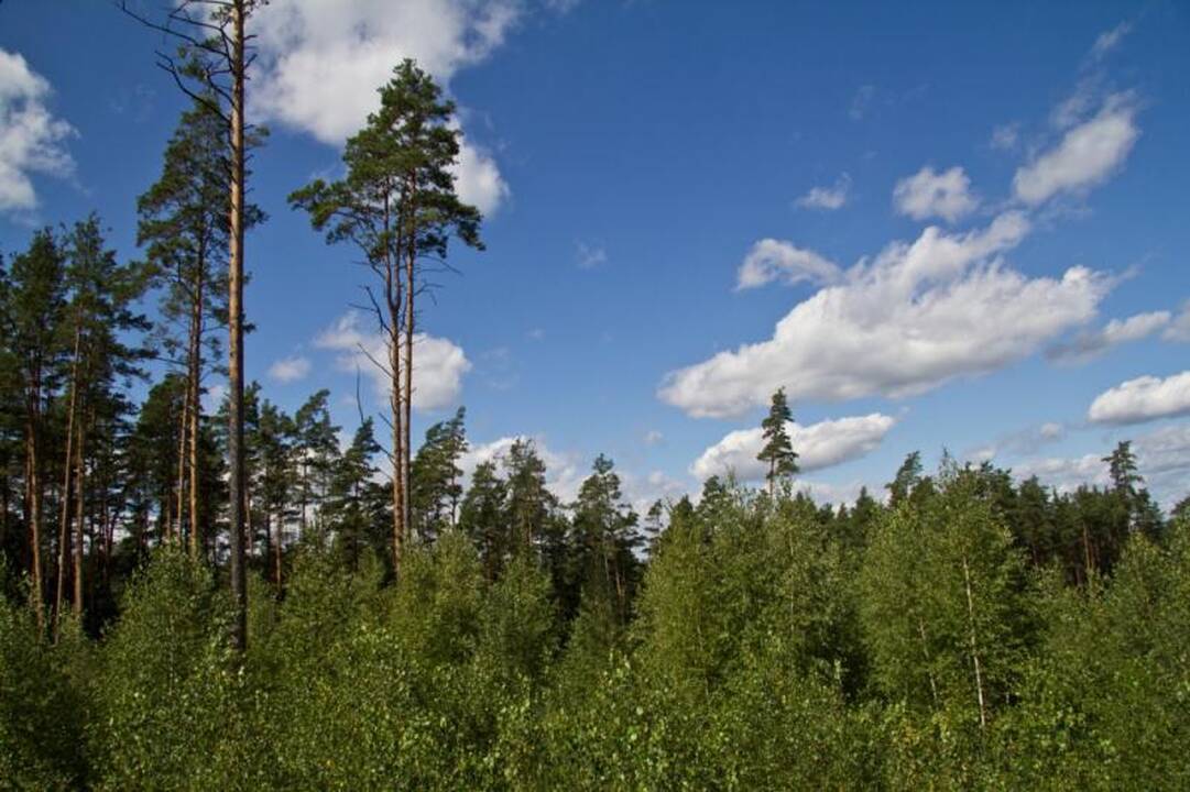 Kelionė laiku po Neries regioninį parką 