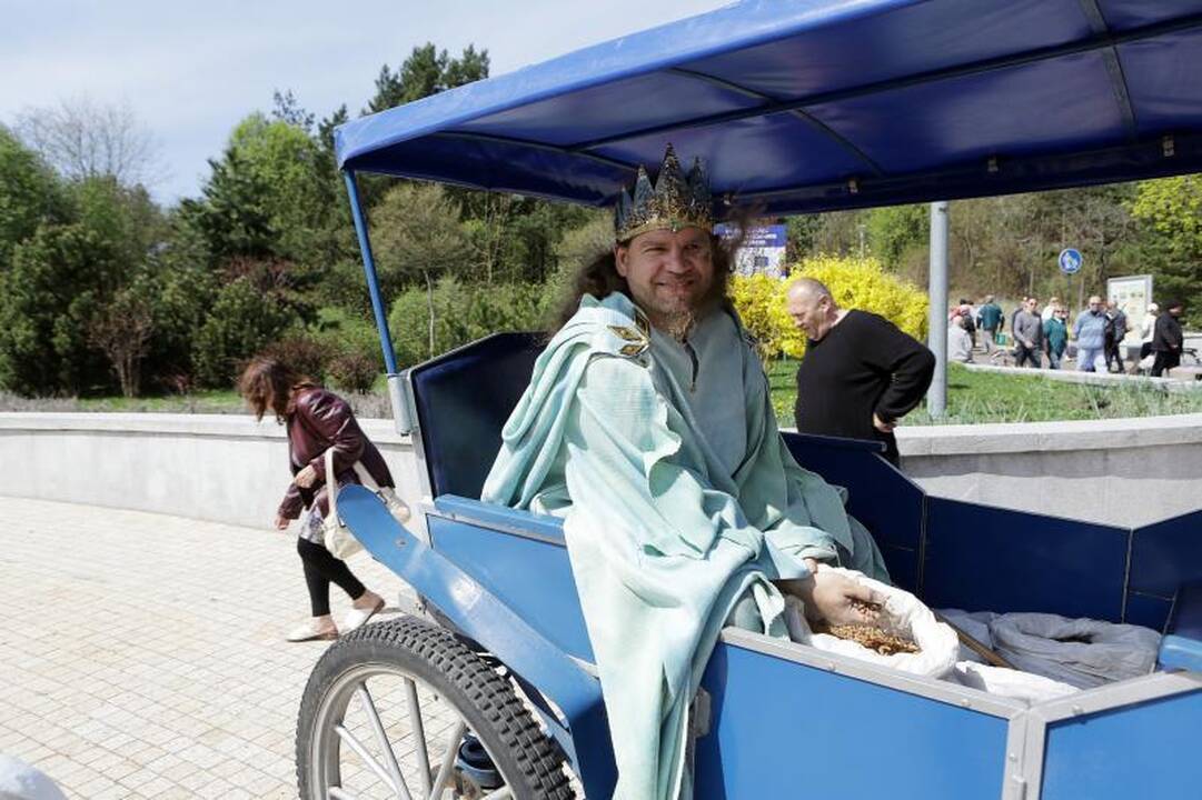 "Jamam": klaipėdiečiai "Akropolio" parduotuvėse tuštino lentynas