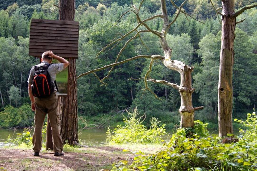 Kelionė laiku po Neries regioninį parką 