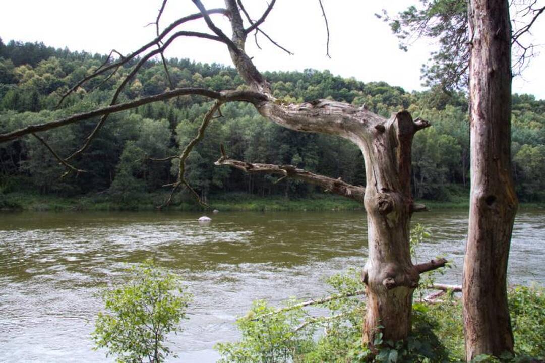 Kelionė laiku po Neries regioninį parką 