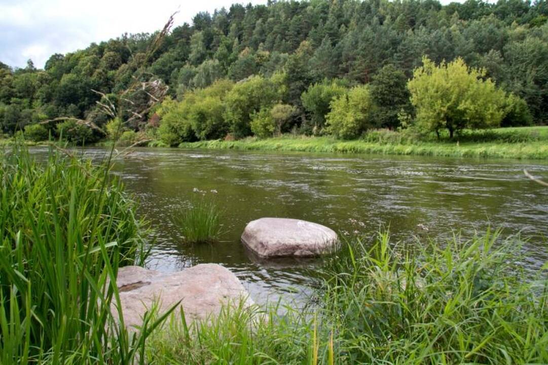 Kelionė laiku po Neries regioninį parką 