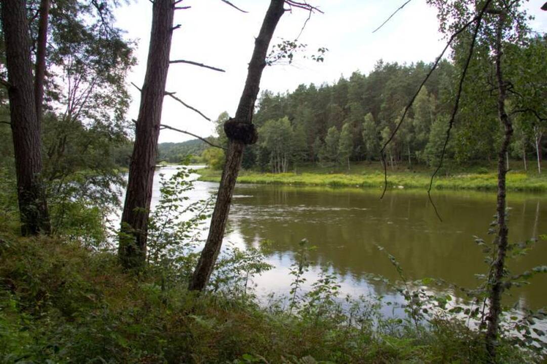 Kelionė laiku po Neries regioninį parką 