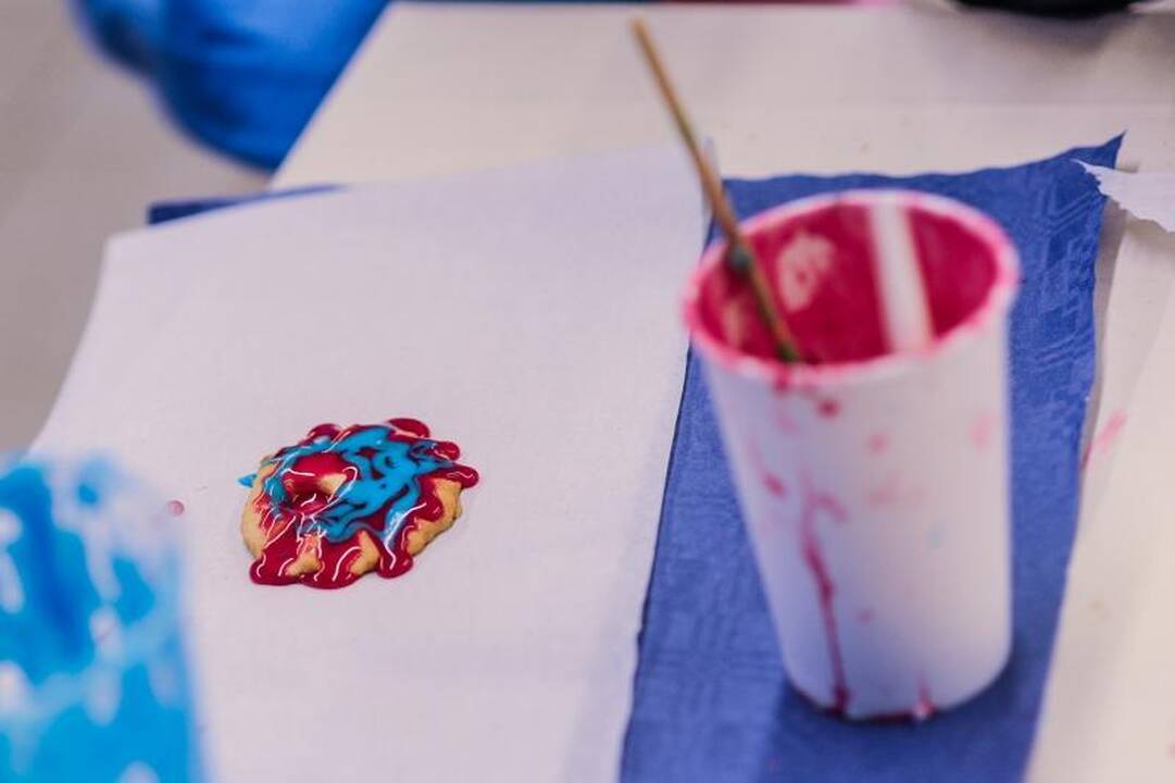 Globos namų vaikams nuspalvino tūkstančius meduolių