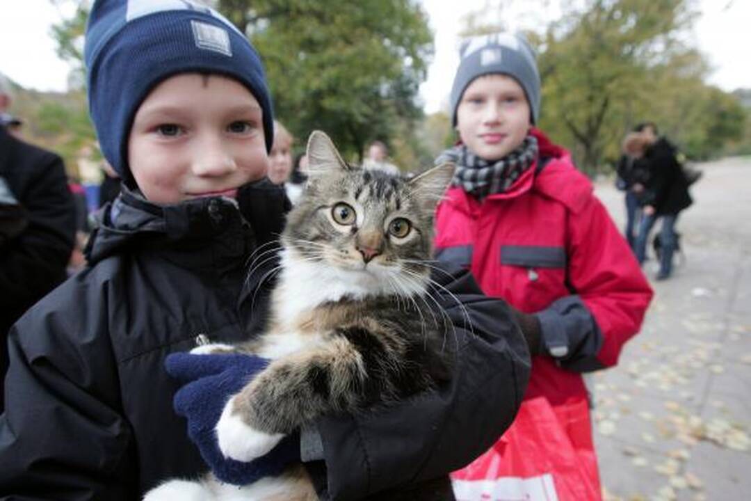 Vilniuje buvo šventinami naminiai gyvūnai