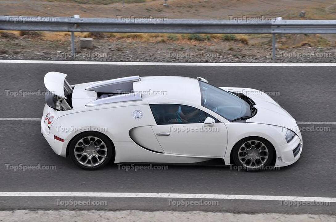 „Bugatti Veyron Grand Sport Super Sport“: nušnipinėtos arklio galios