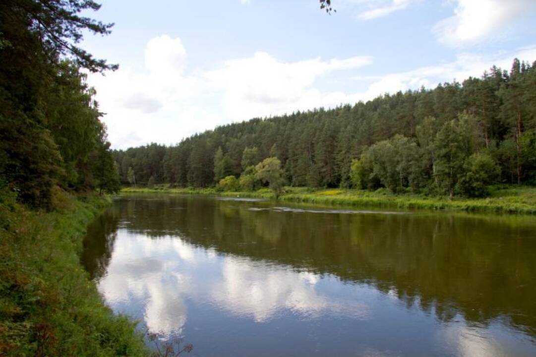 Kelionė laiku po Neries regioninį parką 