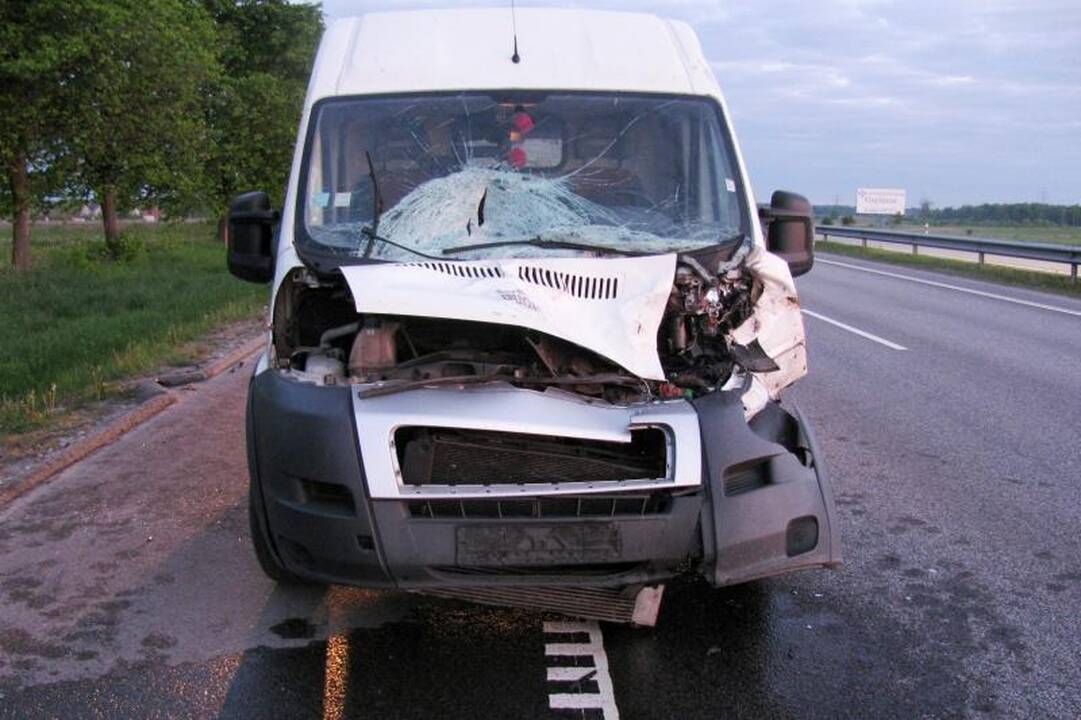 Policija įspėja saugotis žvėrių autostradoje ties Rumšiškėmis