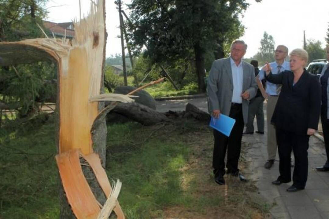 Prezidentė bara draudimo bendroves, gyventojus kviečia į talką