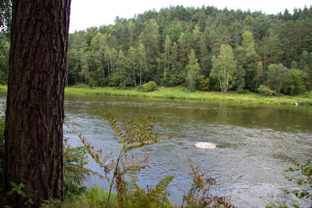 Kelionė laiku po Neries regioninį parką 