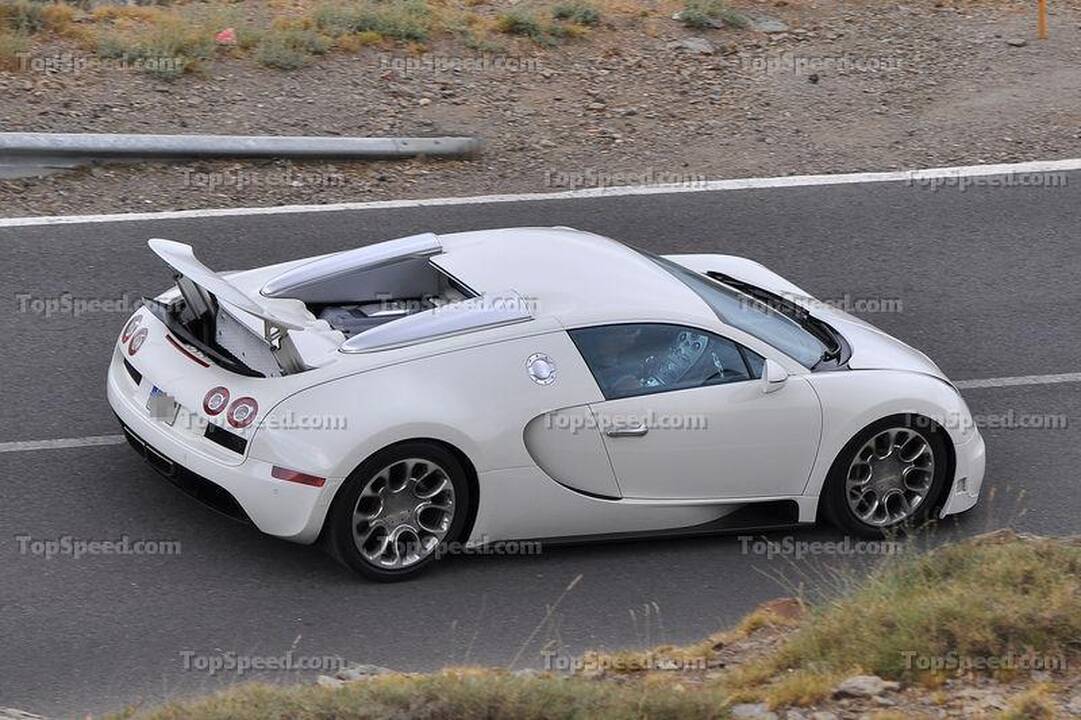 „Bugatti Veyron Grand Sport Super Sport“: nušnipinėtos arklio galios