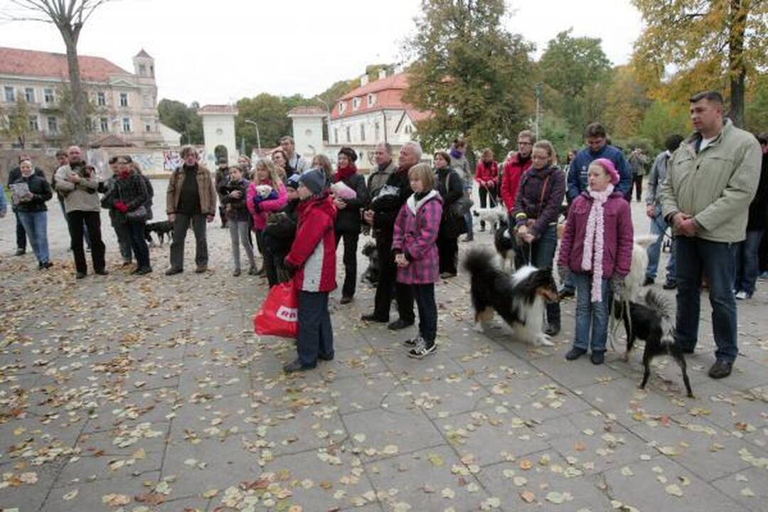 Vilniuje buvo šventinami naminiai gyvūnai