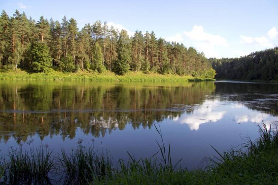Kelionė laiku po Neries regioninį parką 