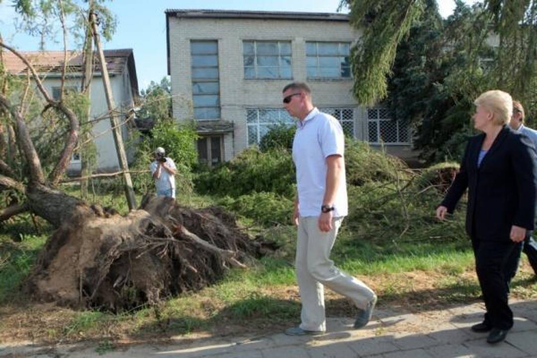 Prezidentė bara draudimo bendroves, gyventojus kviečia į talką