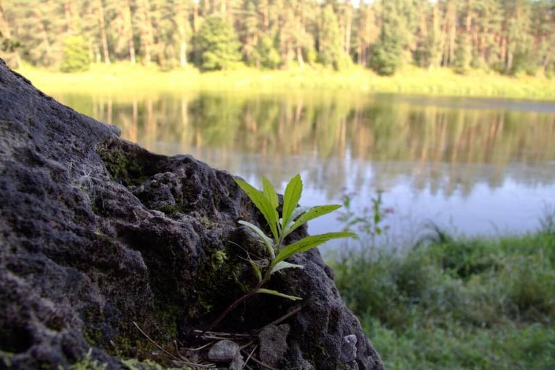 Kelionė laiku po Neries regioninį parką 