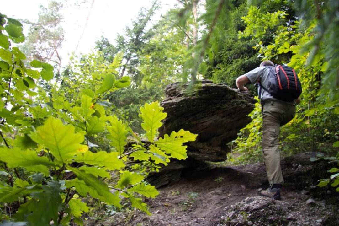 Kelionė laiku po Neries regioninį parką 