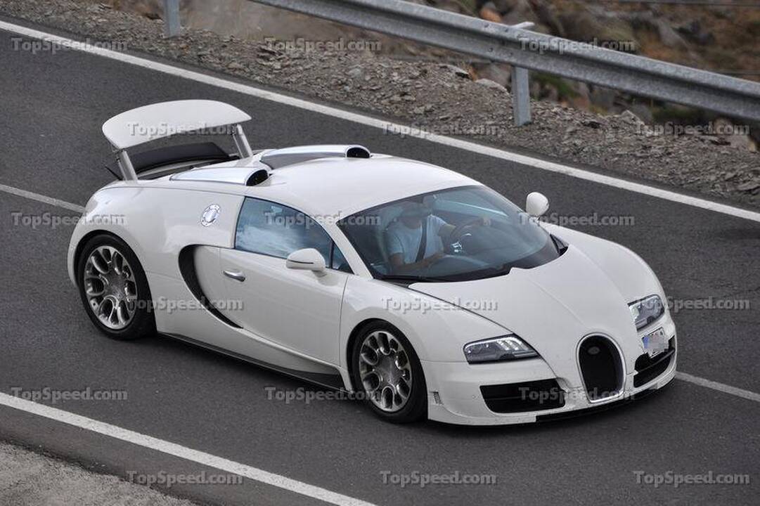 „Bugatti Veyron Grand Sport Super Sport“: nušnipinėtos arklio galios