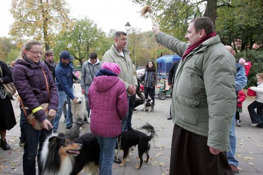 Vilniuje buvo šventinami naminiai gyvūnai