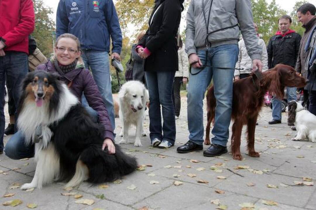 Vilniuje buvo šventinami naminiai gyvūnai