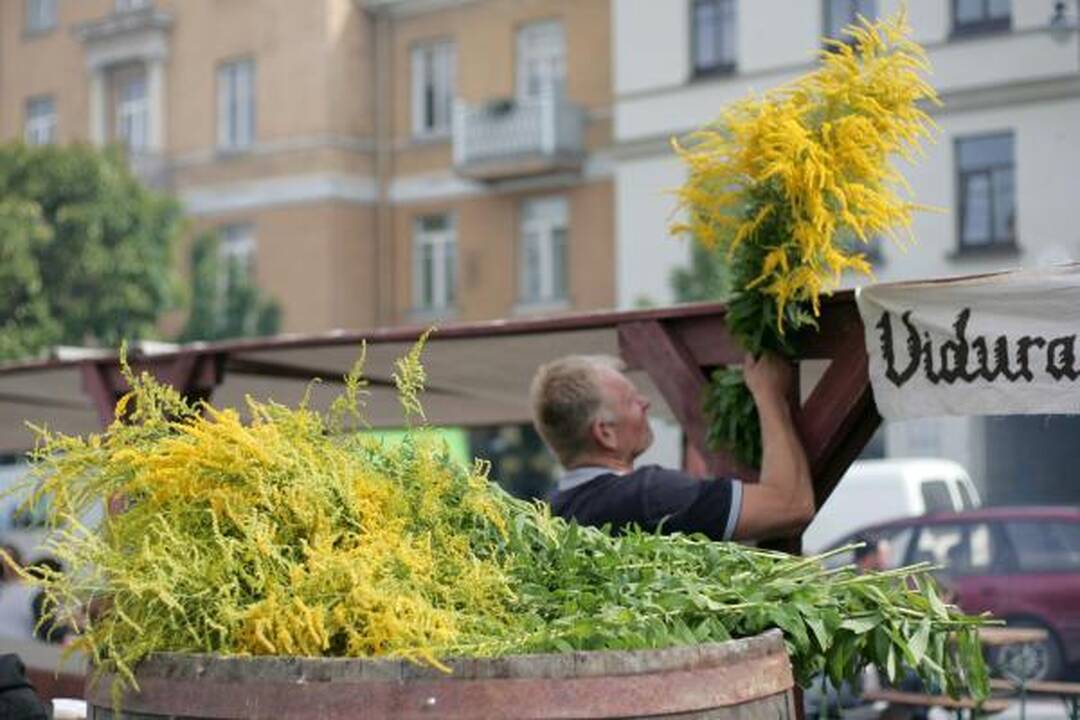 Rotušės aikštėje įsikūrė auksakaliai, puodžiai ir audėjos