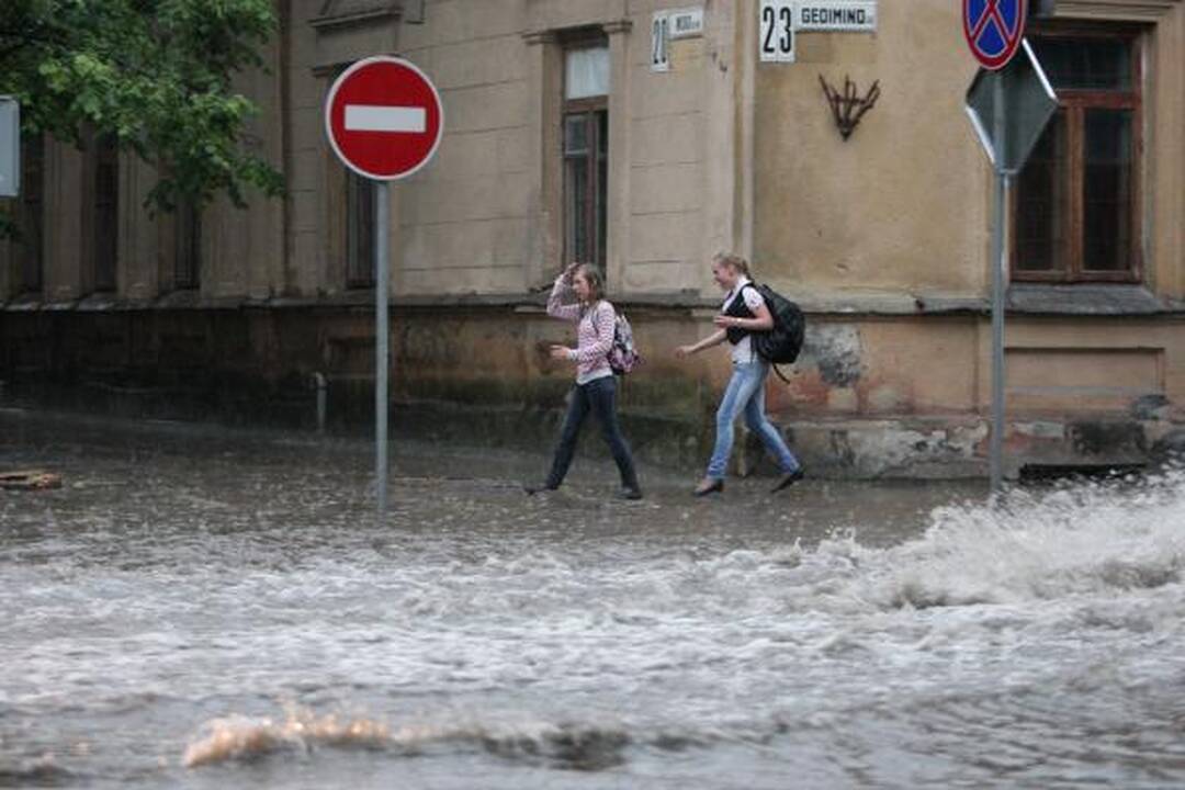Smarki liūtis Kaune skandino miestą (papildyta)