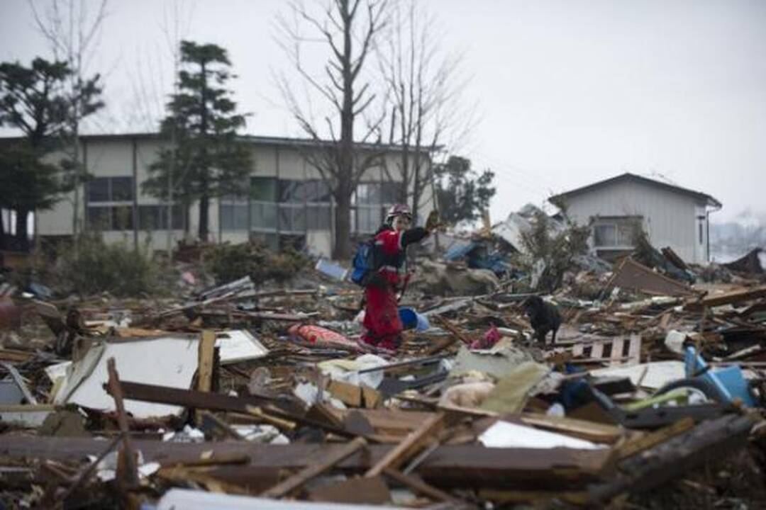 Japonai stichijos smūgį atlaikė garbingai