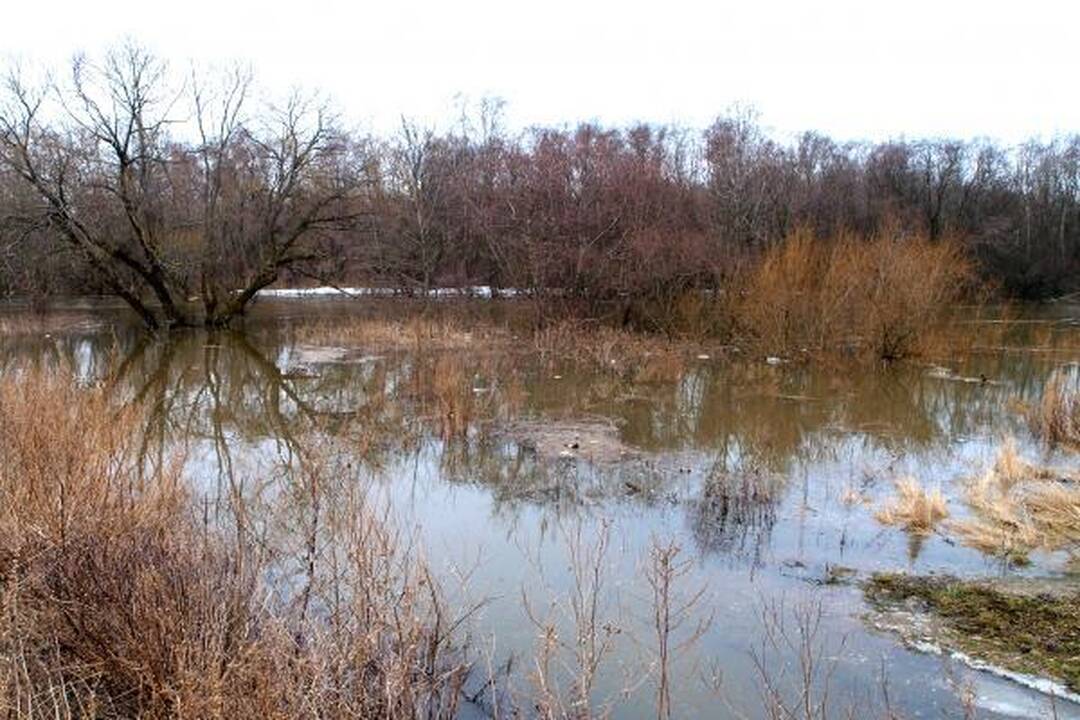 „Pakrantės“ sodų keliai – po vandeniu