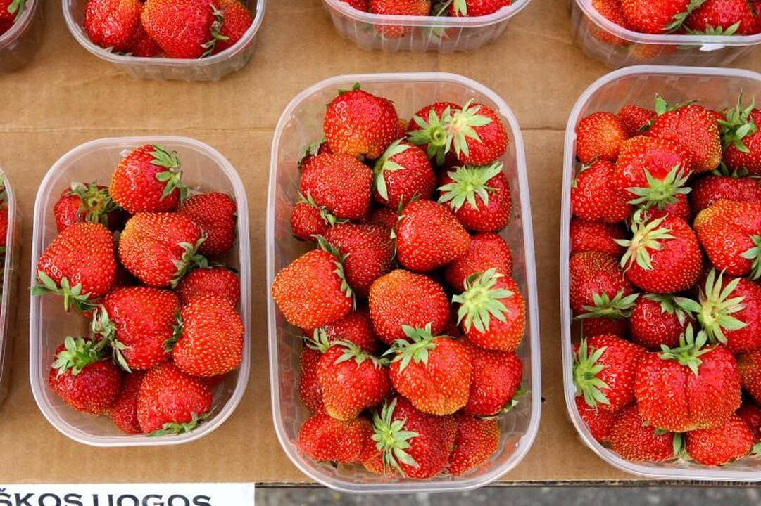 Turguje pakvipo lietuviškomis braškėmis: po 24 litus už kilogramą
