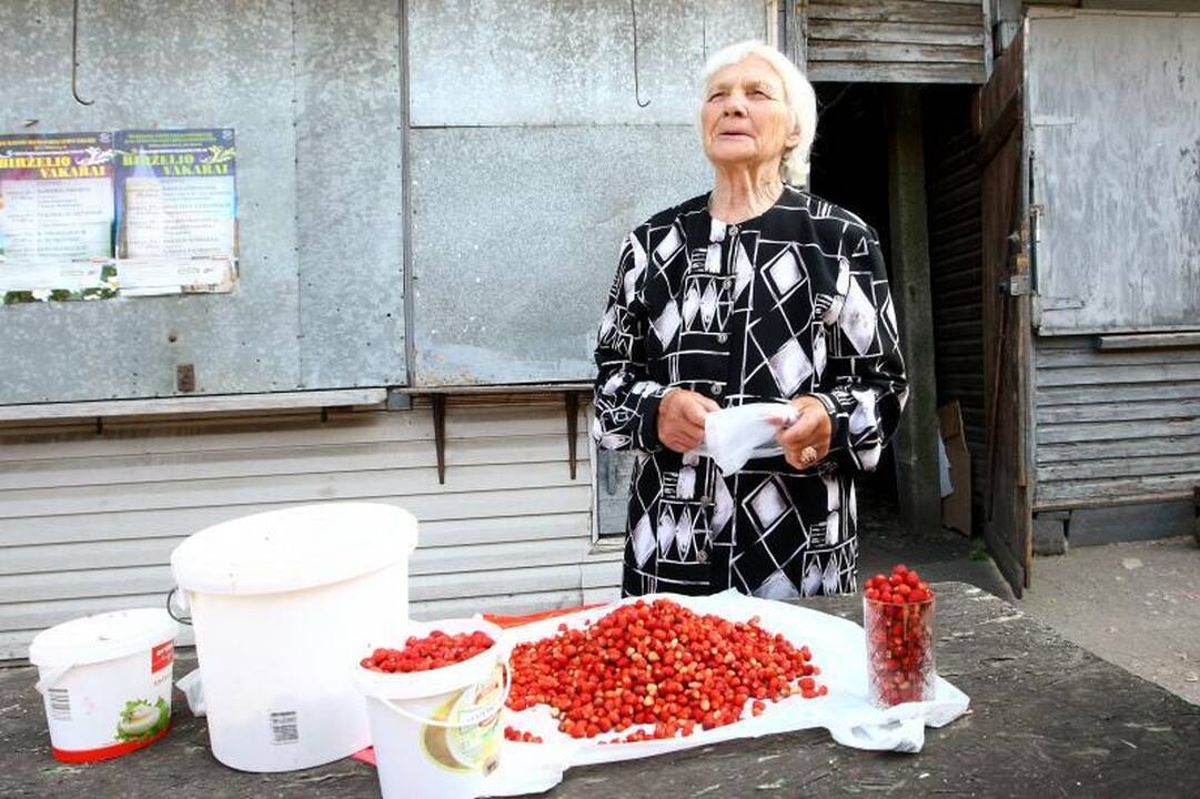 Turguje pakvipo lietuviškomis braškėmis: po 24 litus už kilogramą