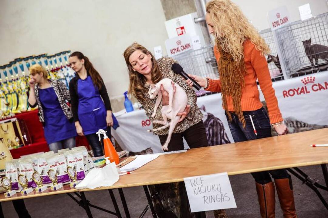 „Megoje“ miauksėjo katės, kurioms neatsispiria net vyrai