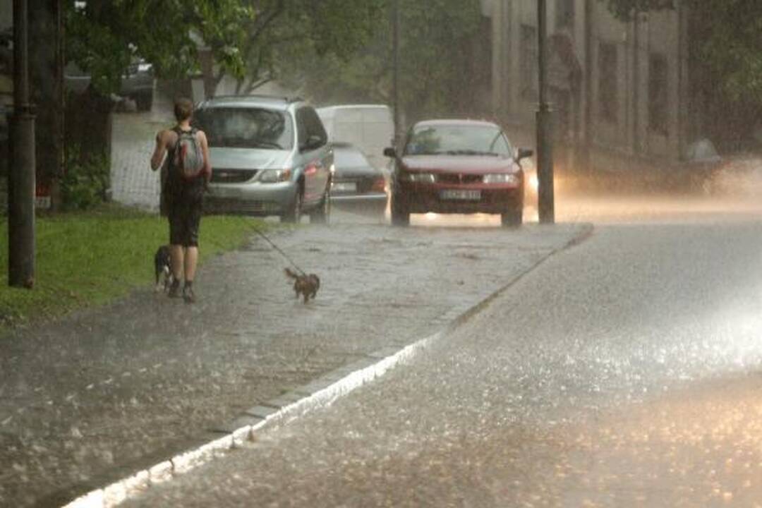 Smarki liūtis Kaune skandino miestą (papildyta)