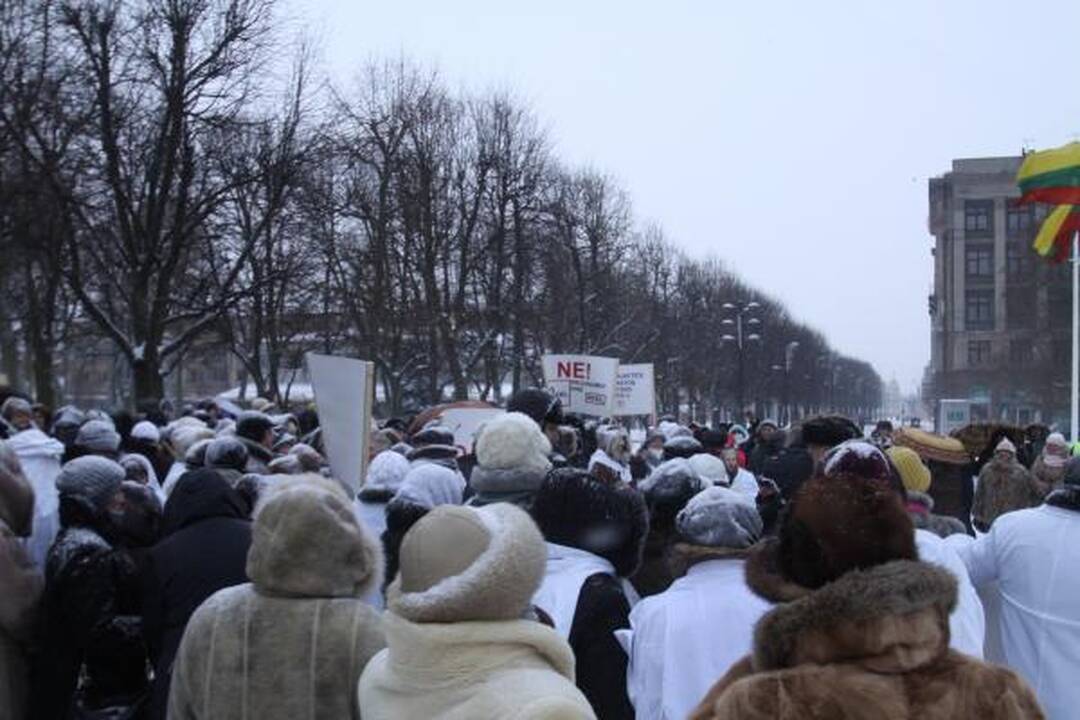Medikai vėl protestavo prieš ligoninių sujungimą