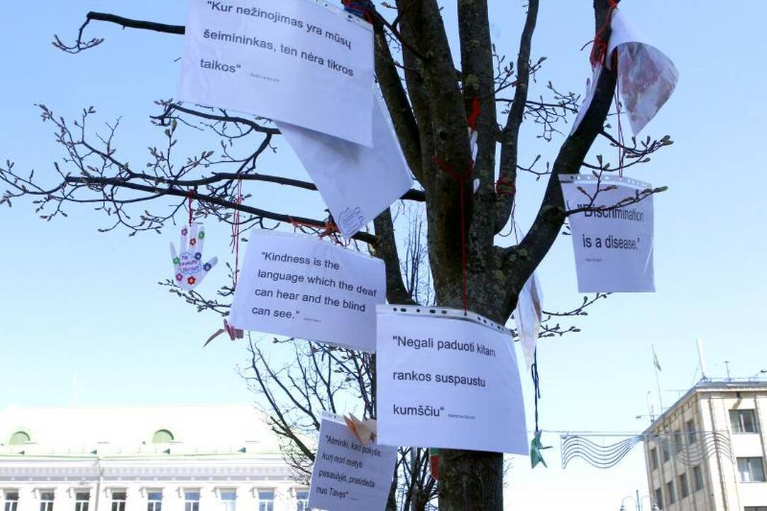 Sostinės V. Kudirkos aikštėje - spalvoti lygybės reikalavimai