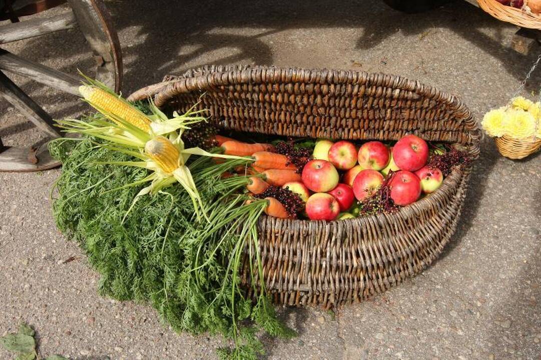 Šventė Raudondvaryje – nuo obuolio iki bebro uodegos