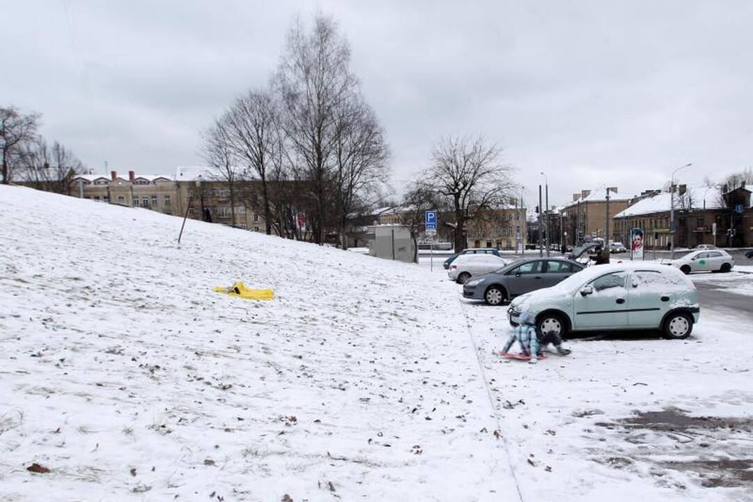 Ar kaunietėms svarbi Kovo 8-oji?