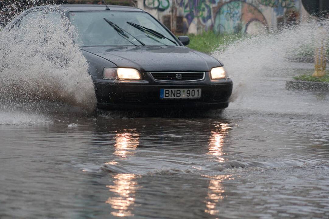 Vilniuje – liūtis prieš šventę