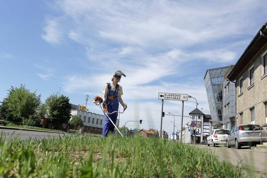 Želdinių prižiūrėtojai nespėja šienauti žolės