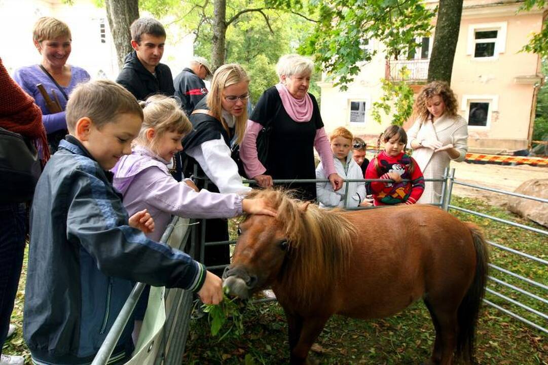 Šventė Raudondvaryje – nuo obuolio iki bebro uodegos