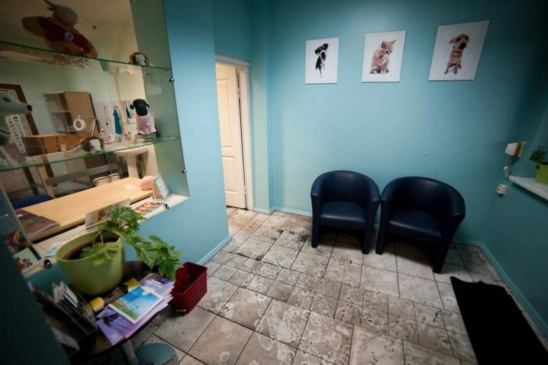 Kol verslą skandina lietus, „Kauno vandenys“ kratosi atsakomybės