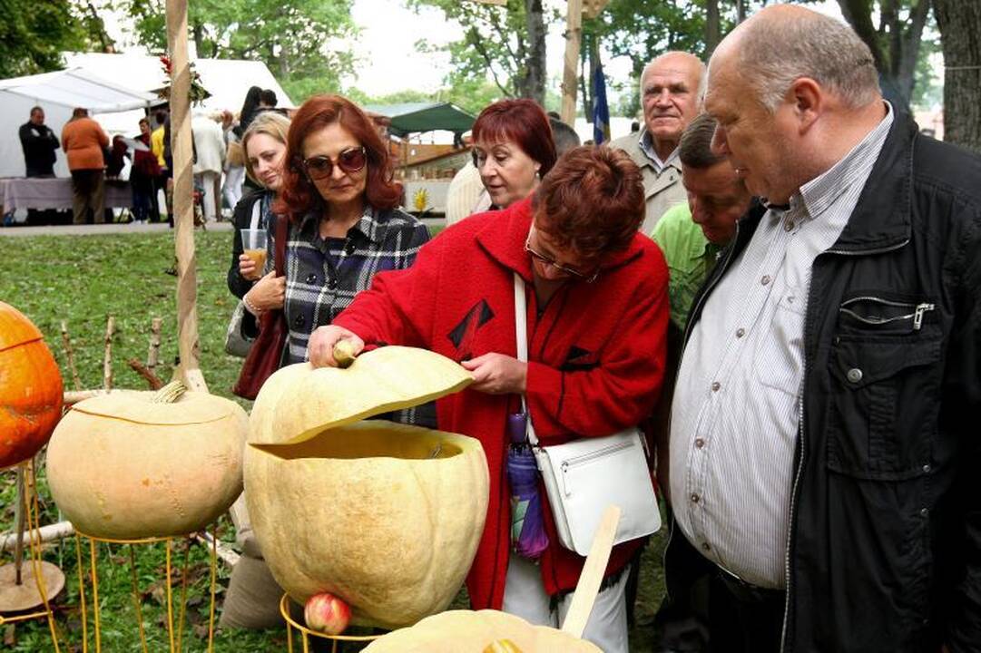 Šventė Raudondvaryje – nuo obuolio iki bebro uodegos