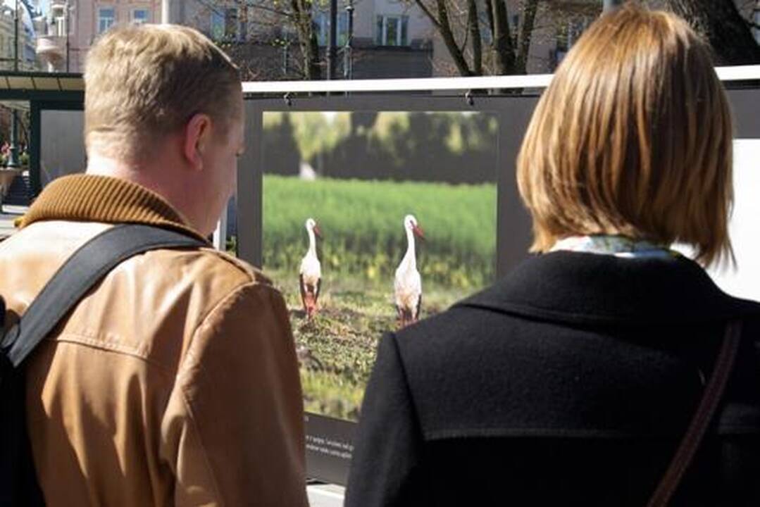 Gandriukais pabuvo daugiau kaip 300 vilniečių