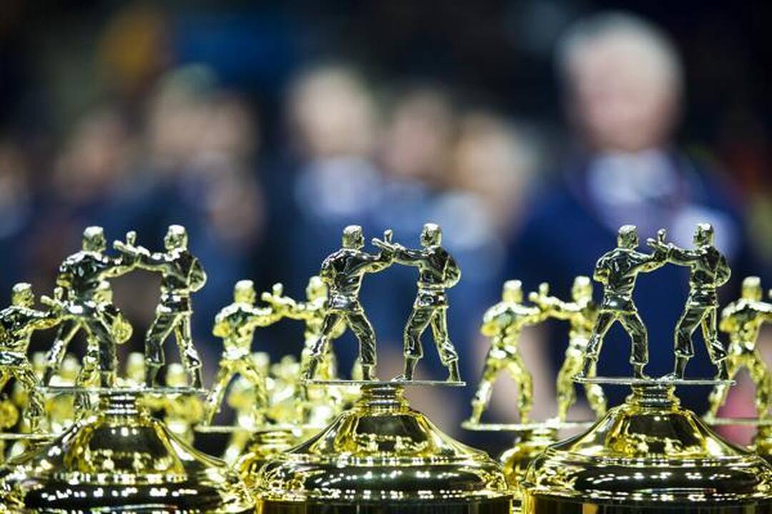 Šeštadienį sostinėje - Europos kiokušin karatė jaunimo ir studentų čempionatas